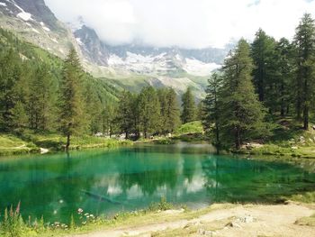 Scenic view of lake and mountains