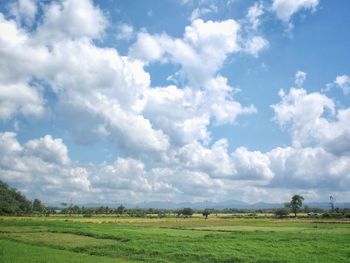 Scenic view of grassy landscape against cloudy sky