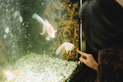 Close-up of hand feeding fish swimming in aquarium