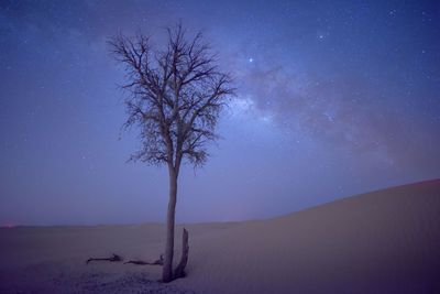 Bare tree on landscape against sky at night