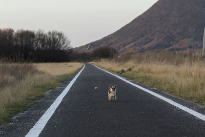 View of a road along landscape