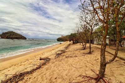 Scenic view of beach against sky