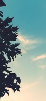 Low angle view of silhouette tree against sky at sunset