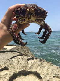 Cropped hand holding crab on rock formation against sky