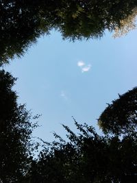 Low angle view of silhouette trees against sky