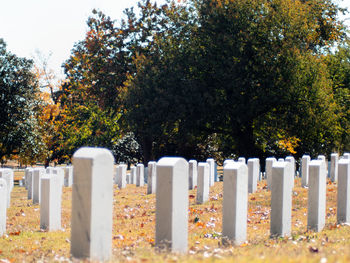 View of cemetery against trees