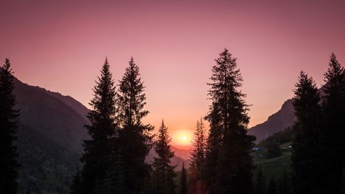 Silhouette trees against sky during sunset