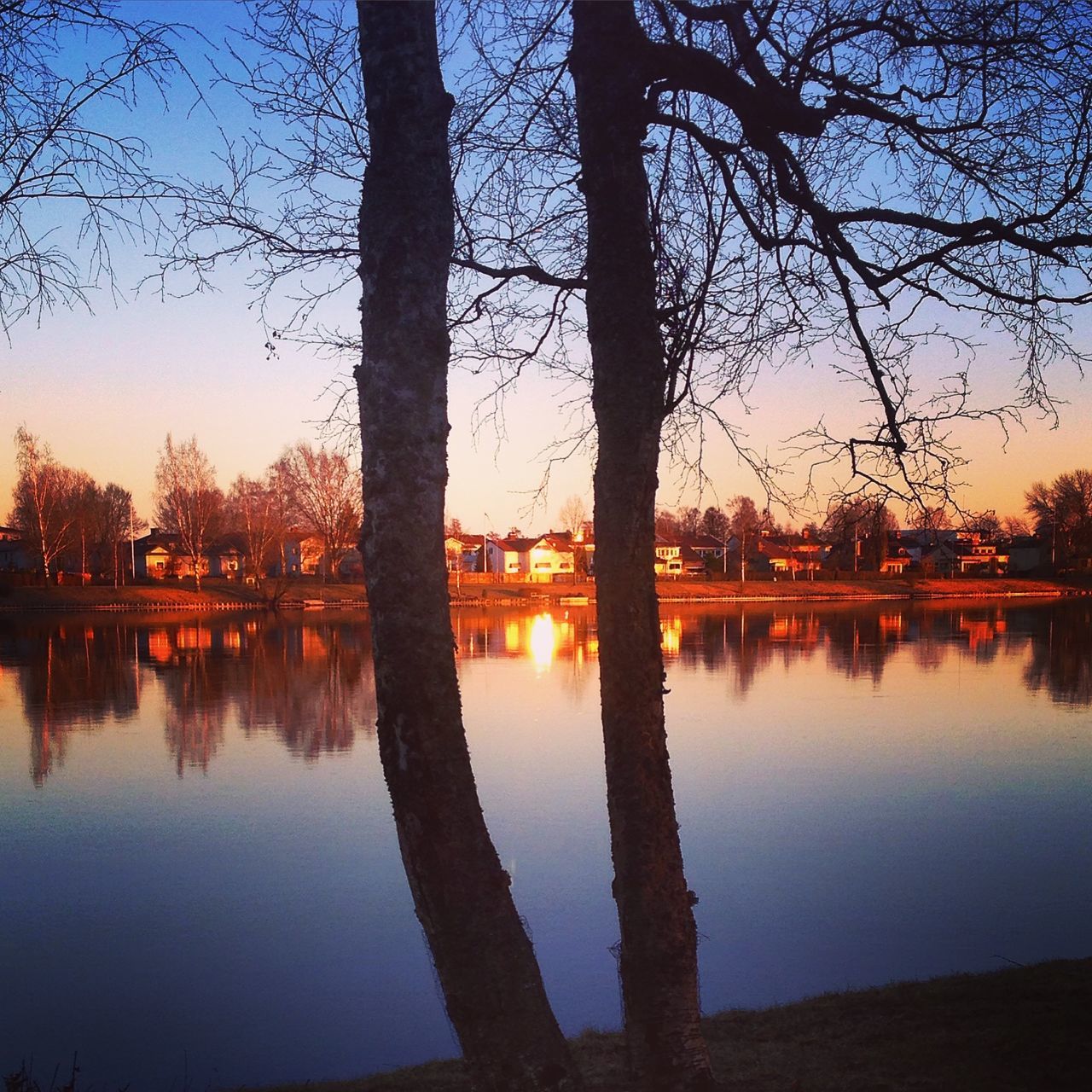 reflection, tree, water, lake, sunset, tranquility, tranquil scene, silhouette, scenics, nature, built structure, beauty in nature, sky, blue, standing water, bare tree, clear sky, river, tree trunk, architecture