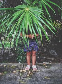 Woman standing behind palm leaf at park