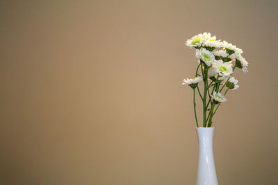 Close-up of white flower vase against wall