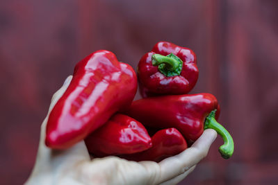 Close-up of red chili peppers