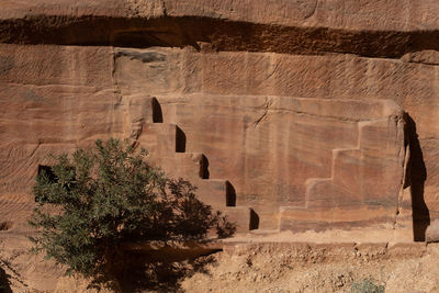 View of historical building