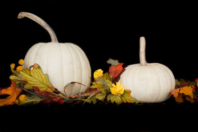 Close-up of pumpkins against black background