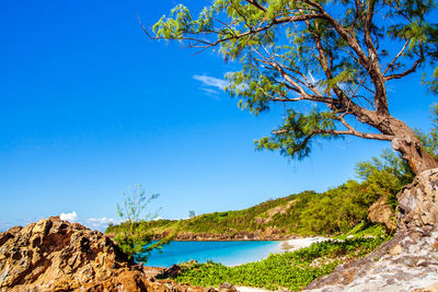 Scenic view of sea against clear blue sky