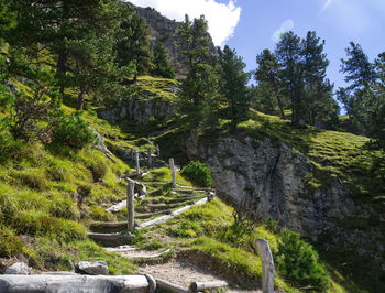 Scenic view of trees and mountains against sky
