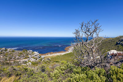 Scenic view of sea against clear blue sky