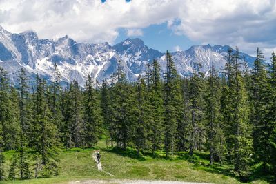 Rear view of man riding a mountain bike on wooden footpath in the alps.