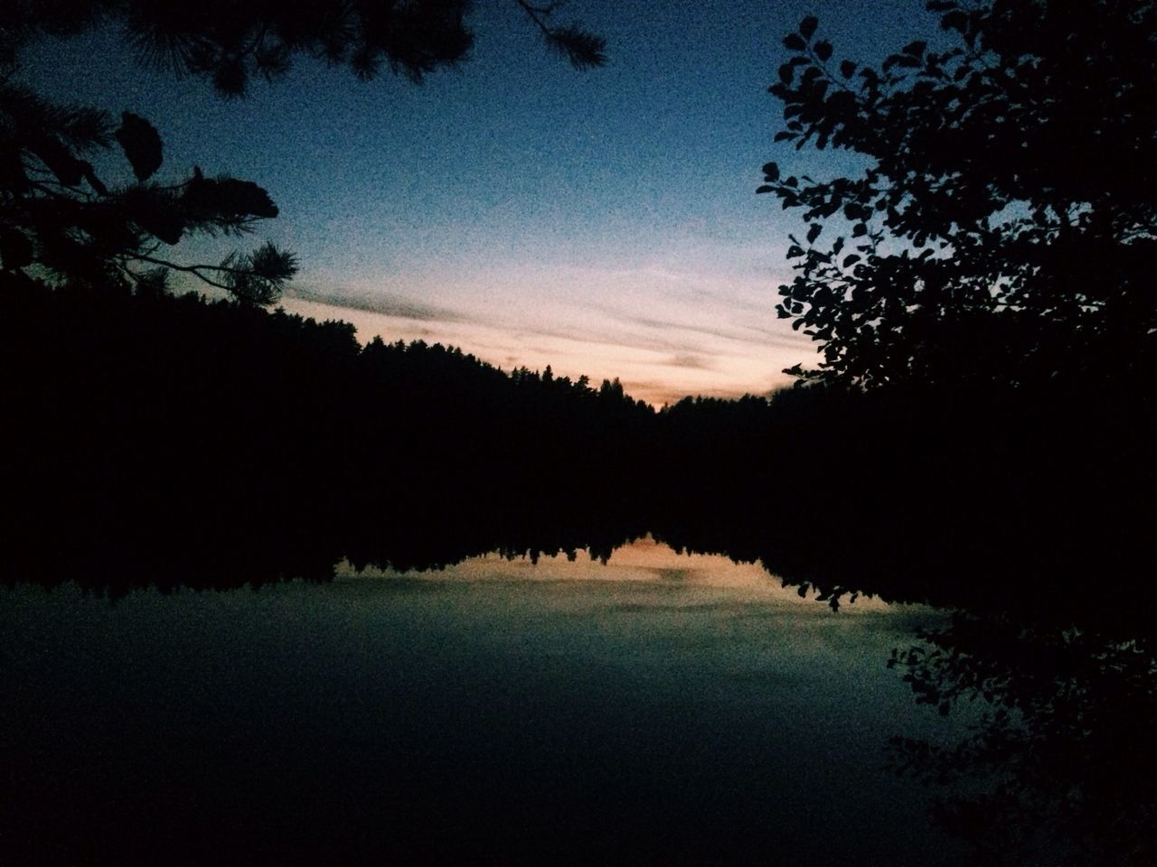 tree, tranquil scene, tranquility, silhouette, water, scenics, reflection, lake, beauty in nature, sunset, sky, nature, idyllic, calm, dusk, waterfront, standing water, outdoors, no people, non-urban scene