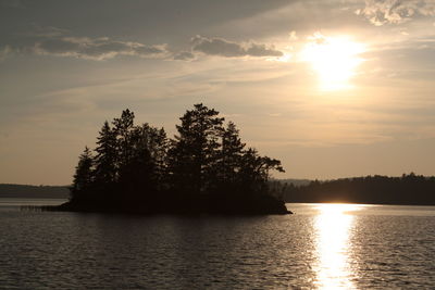 Silhouette trees amidst lake against sky during sunset