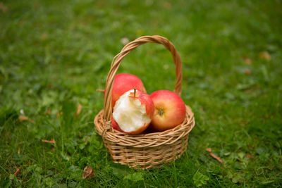 Close-up of apples in basket