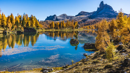 Scenic view of lake by trees against sky