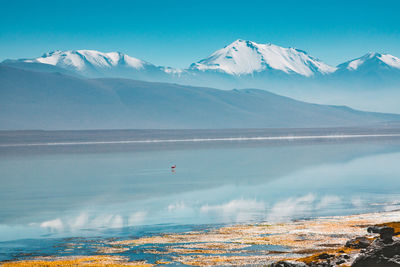 Scenic view of lake and mountains against clear blue sky during winter