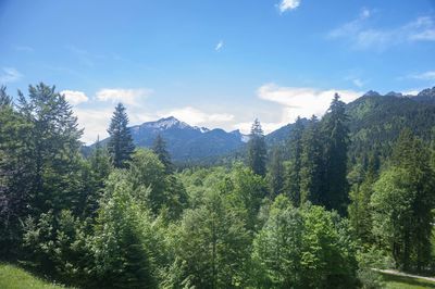 Scenic view of trees and mountains against sky
