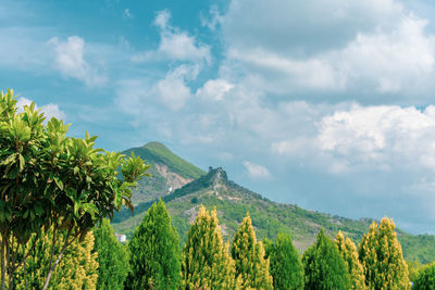 Panoramic view of land and trees against sky