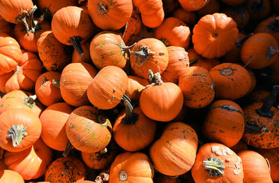 Full frame shot of pumpkins for sale at market stall