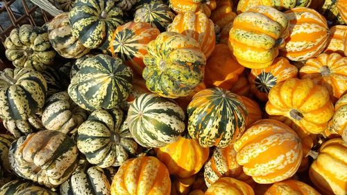 Full frame shot of pumpkins for sale at market