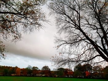 Bare trees on field against sky during autumn