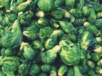 High angle view of vegetables for sale in market