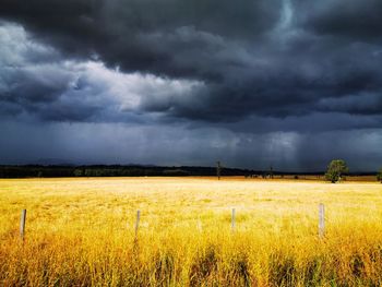 Scenic view of field against cloudy sky