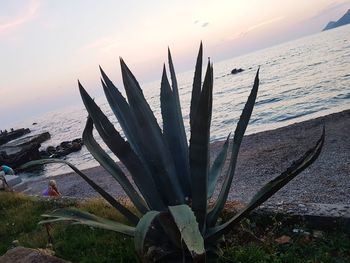 Scenic view of sea against sky during sunset