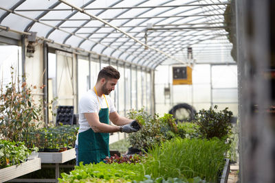 Full length of young man standing in greenhouse