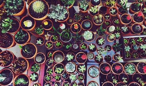 Full frame shot of multi colored pencils