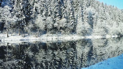 Full frame shot of window