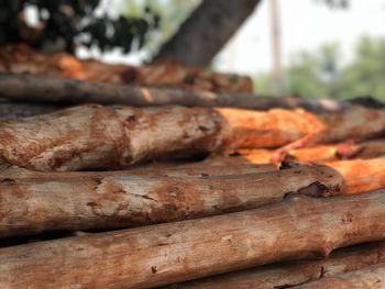 Close-up of bread on wood