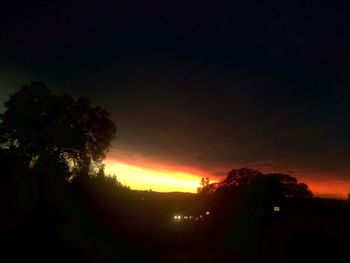 Low angle view of silhouette trees against sky at night
