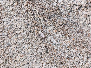 High angle view of stones on beach