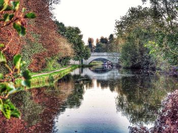 Reflection of trees in water