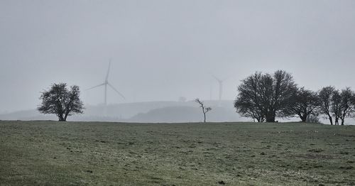 environment
