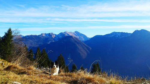 Scenic view of mountains against blue sky