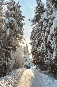 Panoramic view of snow covered landscape