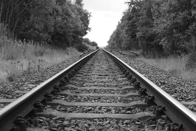 Railroad tracks amidst trees against sky