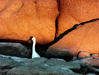 Rocks in sea