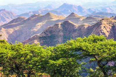 High angle view of trees and mountains