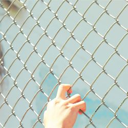 Close-up of hand clinging onto wire metal fence