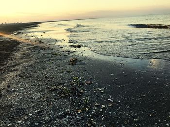 Surface level of wet beach against sky during sunset