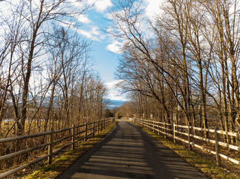 Footbridge amidst trees against sky